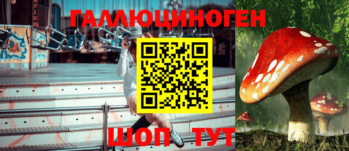 Галлюциногенные грибы Psilocybine cubensis Гагарин