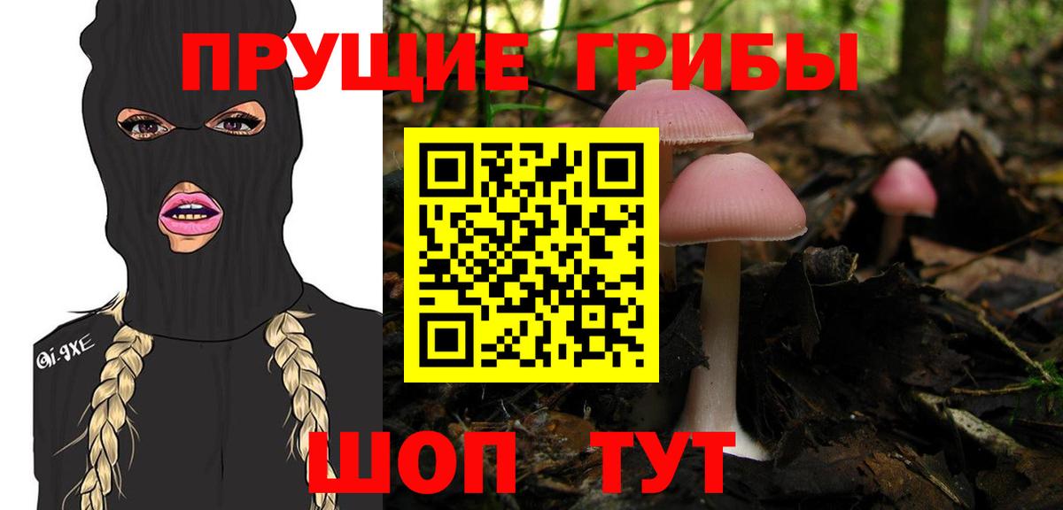 Гагарин  Псилоцибиновые грибы прущие грибы  Вход с VPN  Галлюциногенные грибы Magic Shrooms 